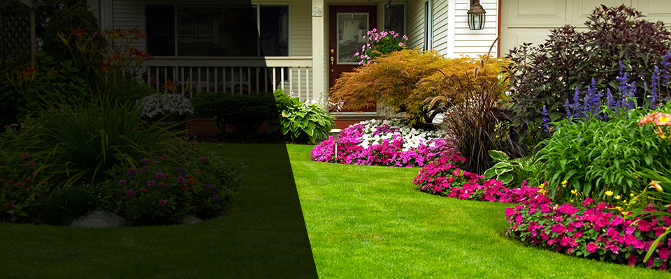 Somerset Landscapers